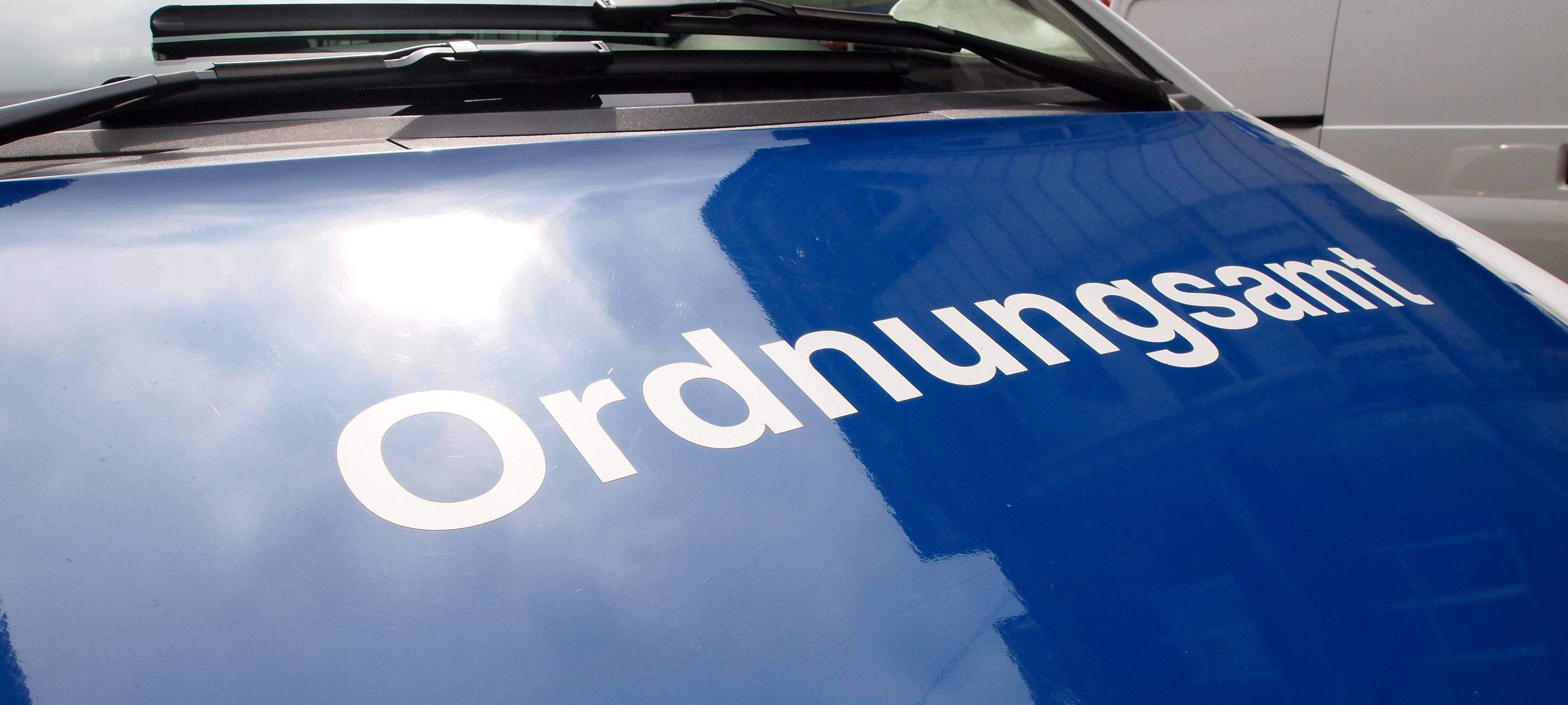 Solingen: Ordnungsamt geht gegen Ratten vor