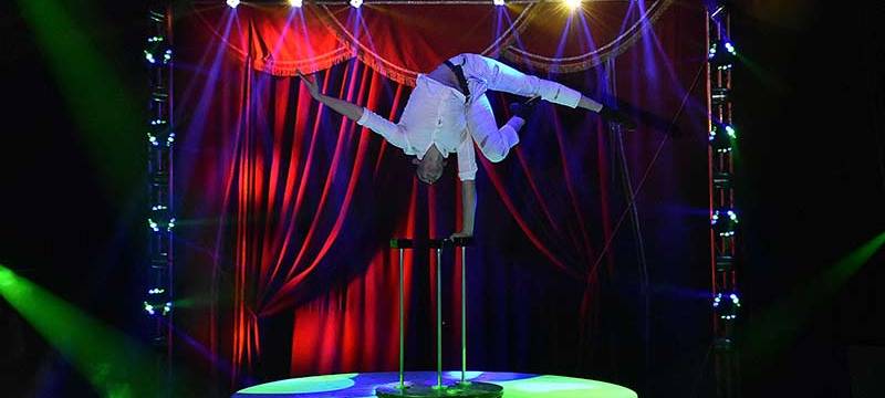 Tipps für die Woche vom 15. bis 21.12.