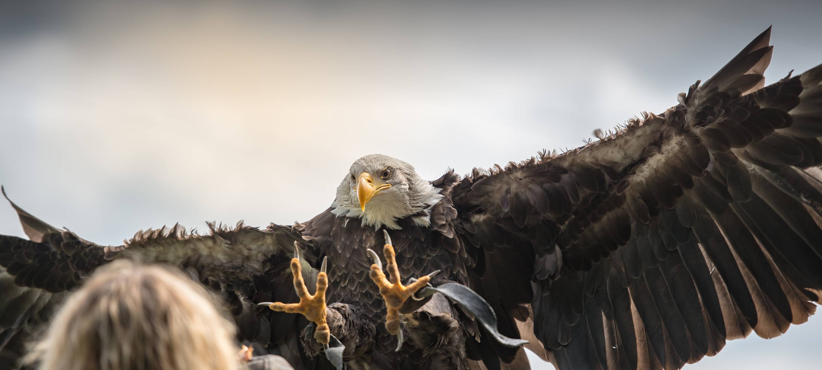 Tipps fürs Wochenende 27. bis 29. März 2026