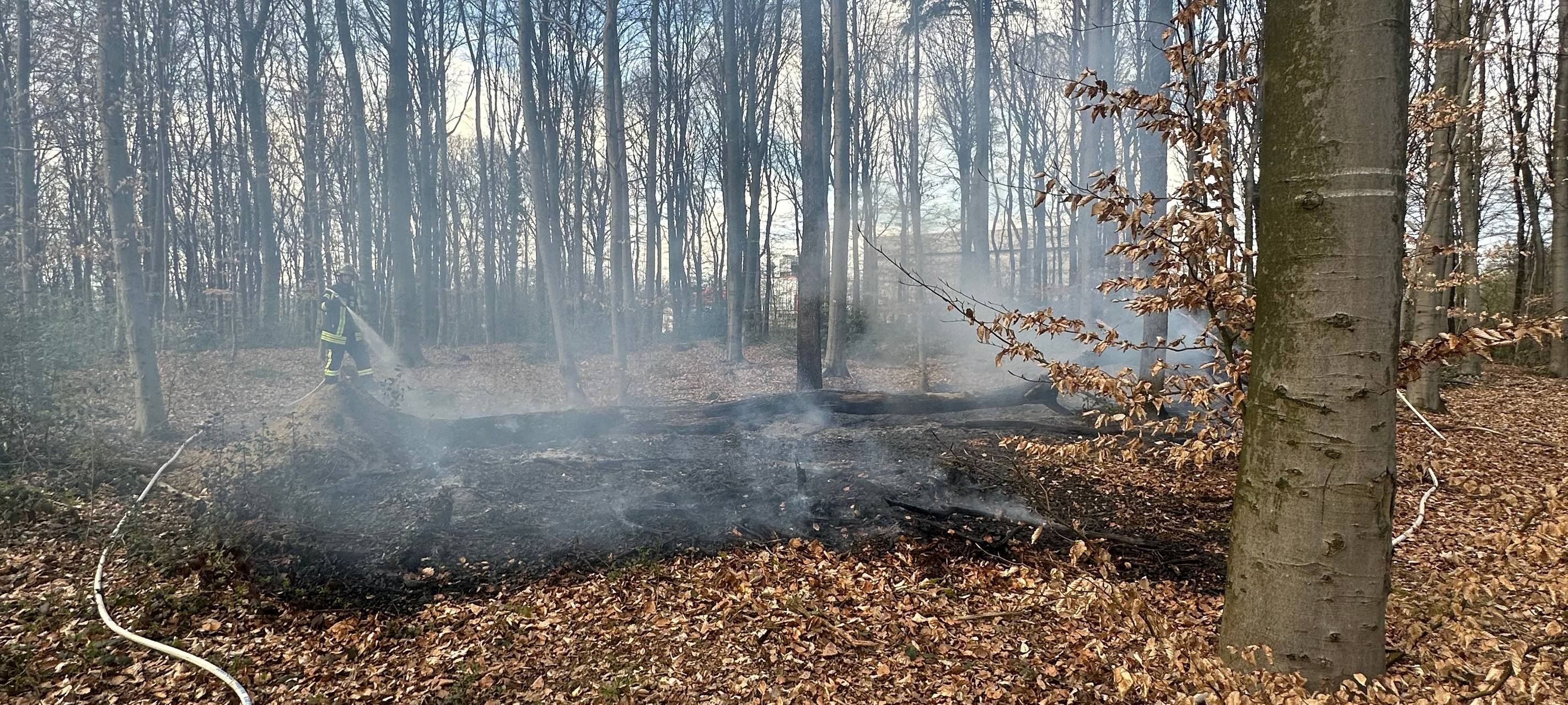 Waldbrandgefahr im RSG-Land steigt: das ist zu beachten