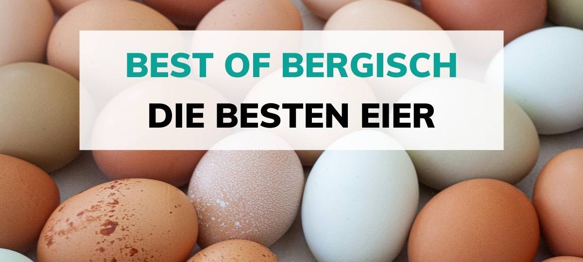 Best of Bergisch: Die besten Eier